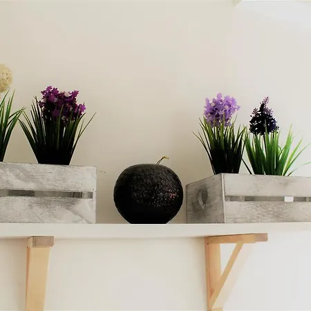 I Gemelli House Apartment *